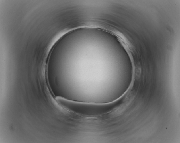 X0000113311484200910051053