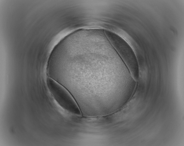 X0000113311485200910051053