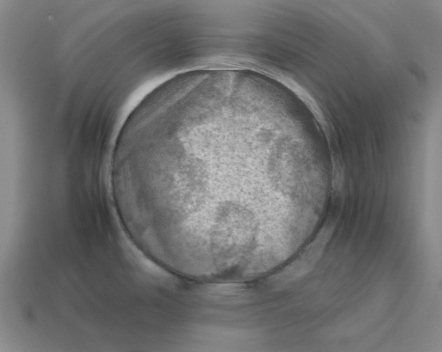 X0000113311486200910051053