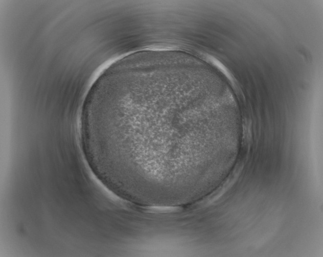 X0000113311487200910051053