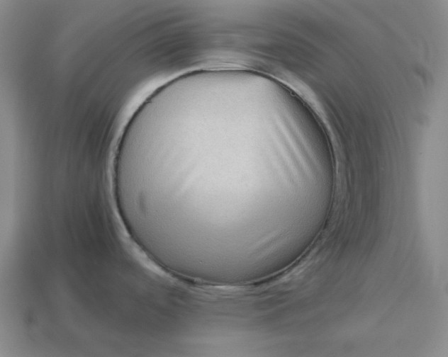 X0000113311488200910051053