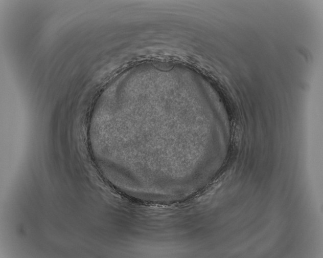 X0000113311489200910051052