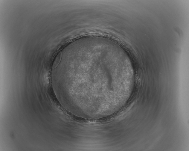 X0000113311490200910051052