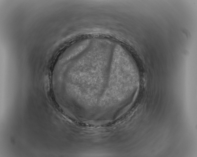 X0000113311493200910051052