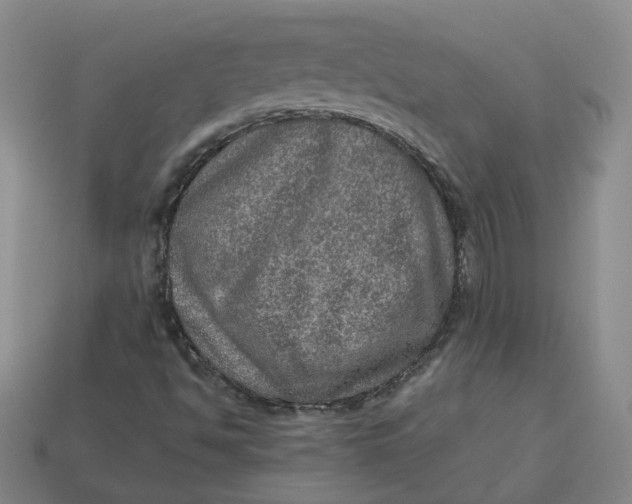 X0000113311494200910051052