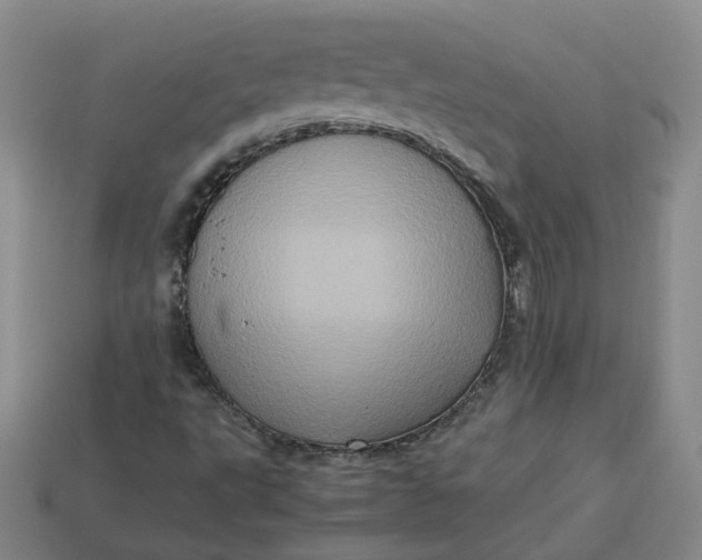 X0000113311495200910051052