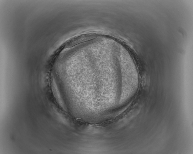 X0000113311496200910051052