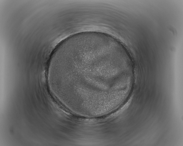 X0000113311497200910051052