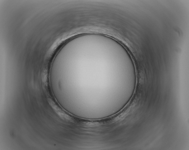 X0000113311499200910051052