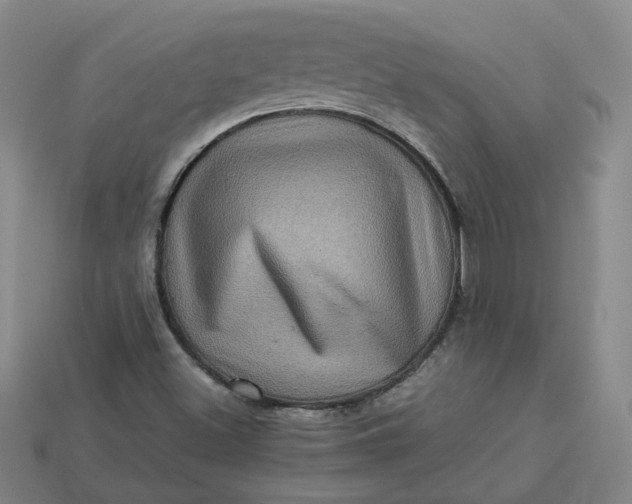 X0000113311500200910051052