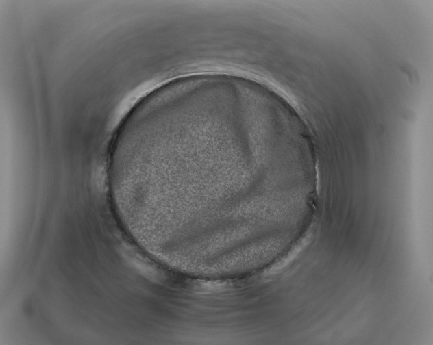 X0000113311501200910051052