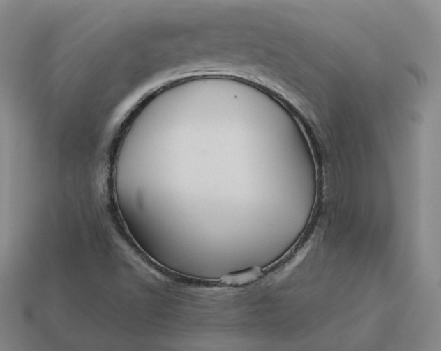 X0000113311502200910051052