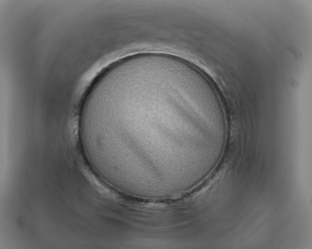 X0000113311503200910051052