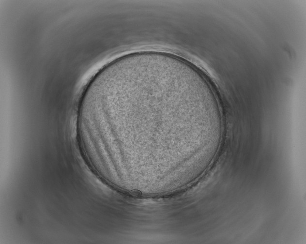 X0000113311504200910051052