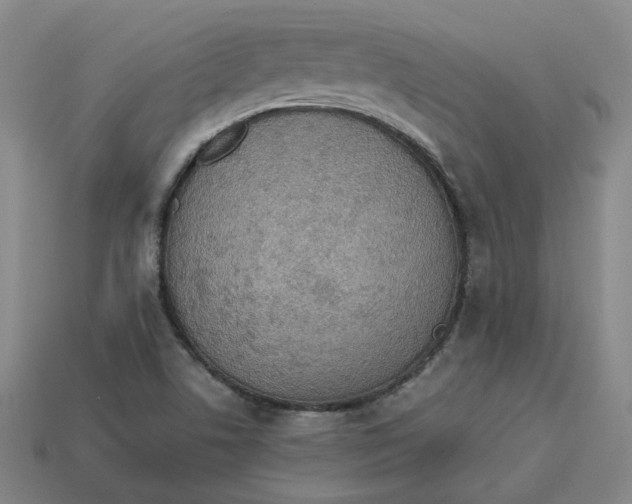 X0000113311506200910051052