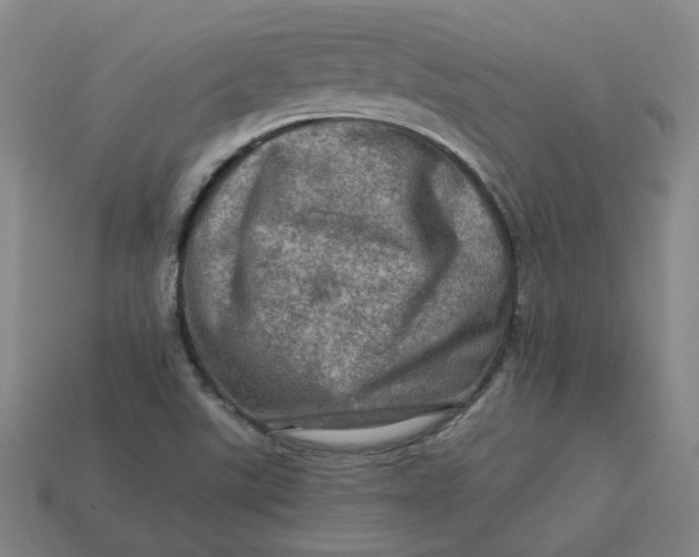 X0000113311507200910051052