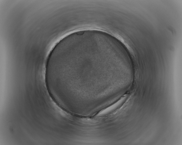 X0000113311508200910051052