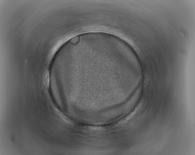 X0000113311509200910051052