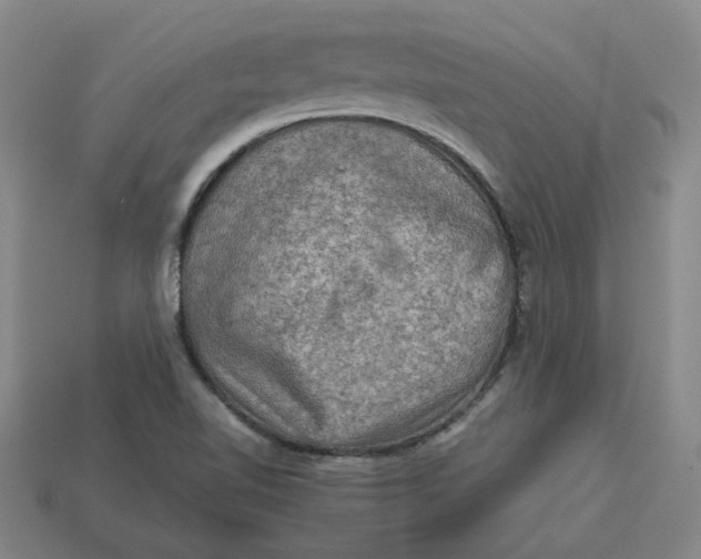 X0000113311510200910051052