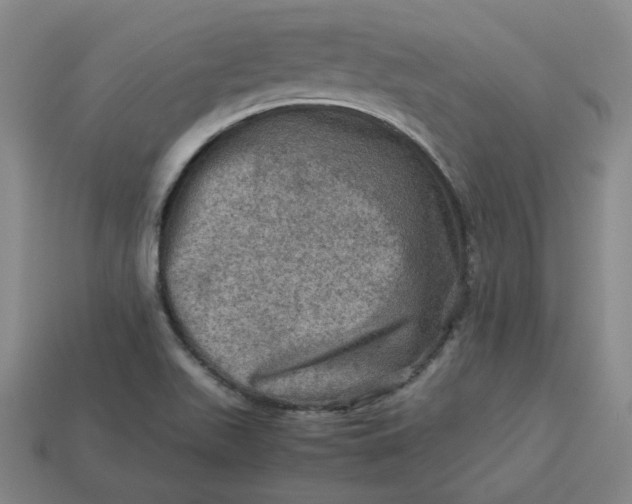 X0000113311511200910051053