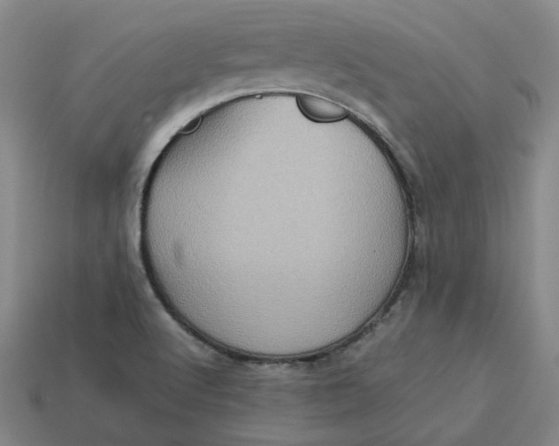 X0000113311512200910051053