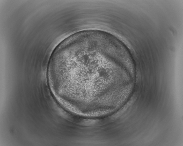 X0000113311513200910051053