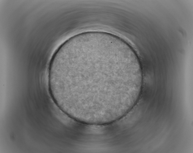 X0000113311514200910051053