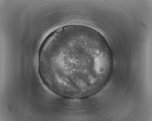 X0000113311515200910051053