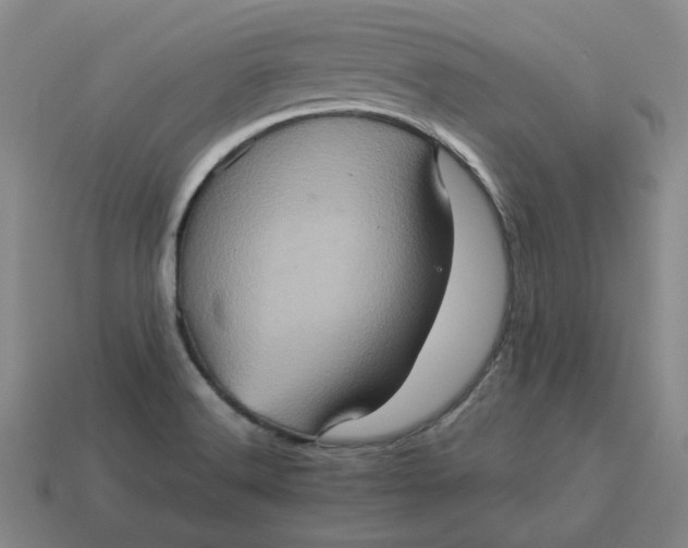 X0000113311516200910051053