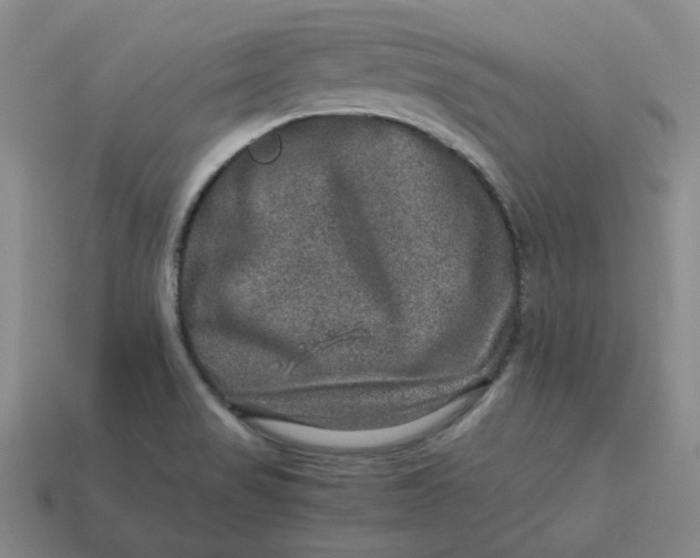 X0000113311517200910051053