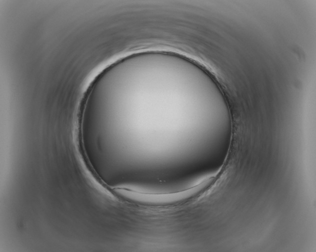 X0000113311518200910051053