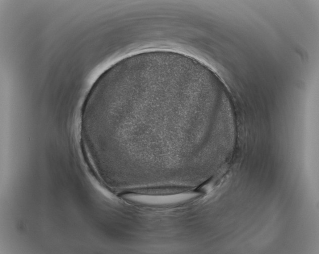 X0000113311519200910051053