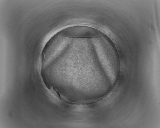 X0000113311520200910051053