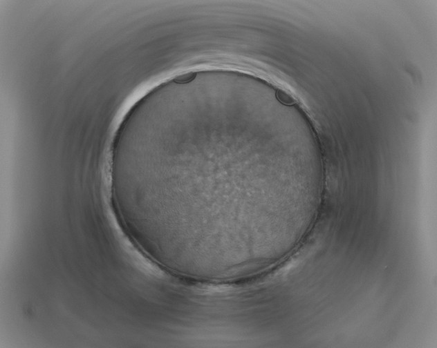 X0000113311522200910051053