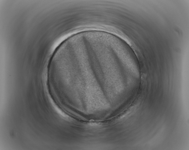 X0000113311523200910051053