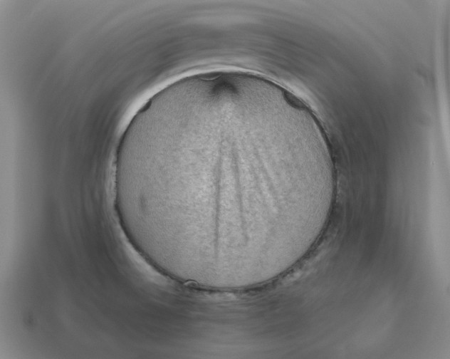 X0000113311524200910051053