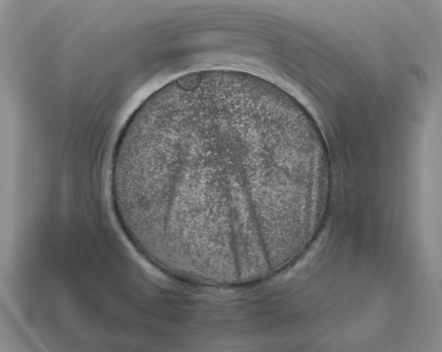 X0000113311525200910051053