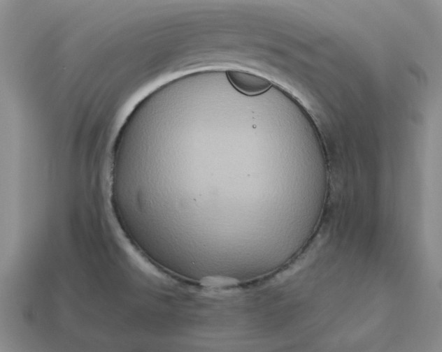 X0000113311526200910051053