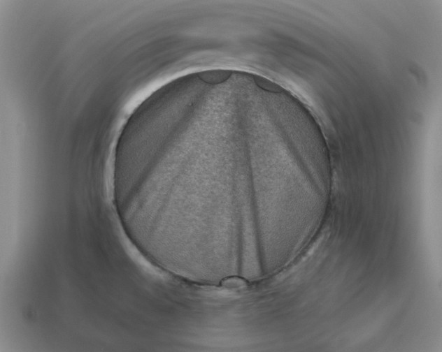 X0000113311528200910051053