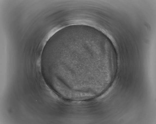 X0000113311529200910051053