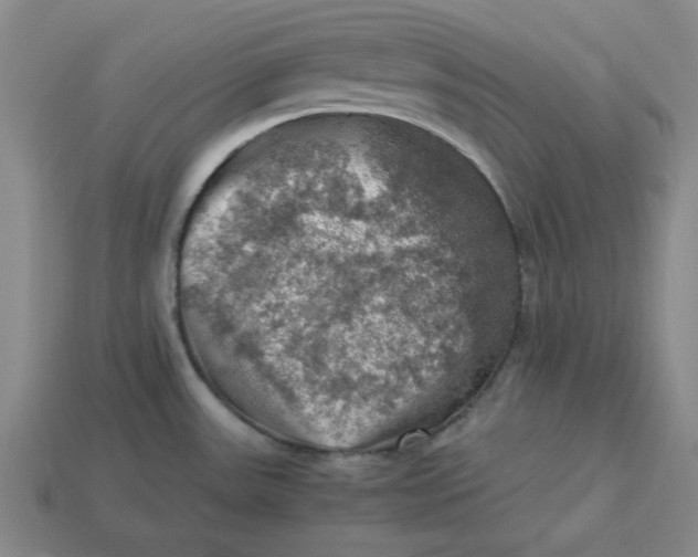 X0000113311531200910051053