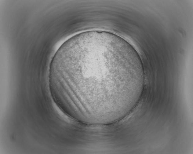 X0000113311532200910051053