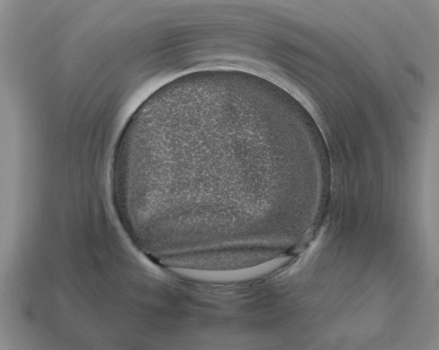 X0000113311533200910051053