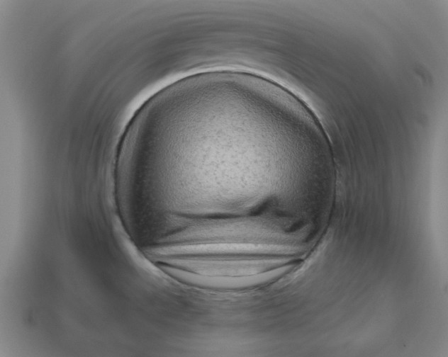 X0000113311534200910051053