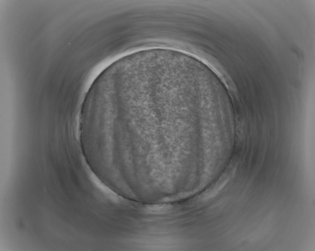 X0000113311535200910051053