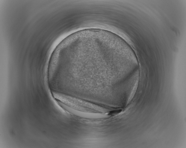 X0000113311536200910051053