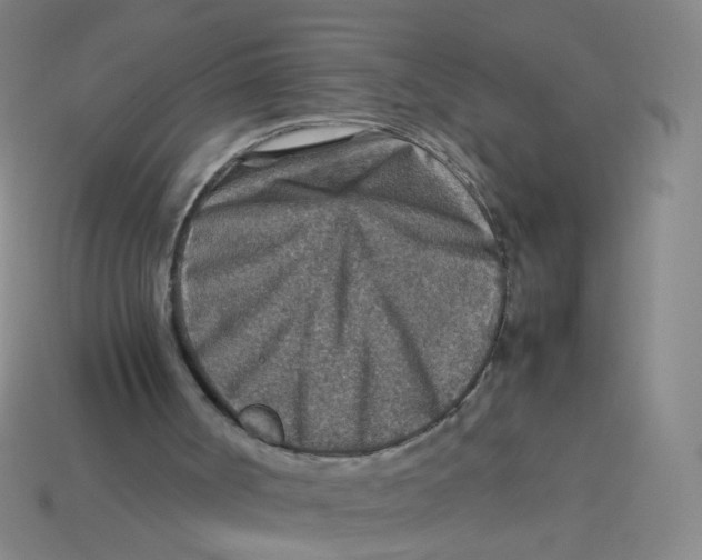 X0000113310002200910131117