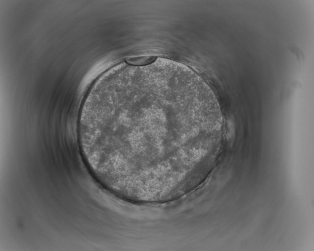 X0000113310004200910131117