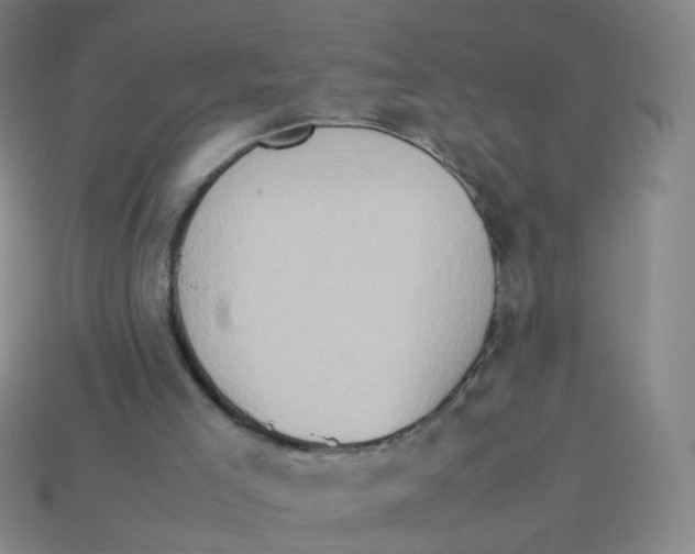 X0000113310005200910131117