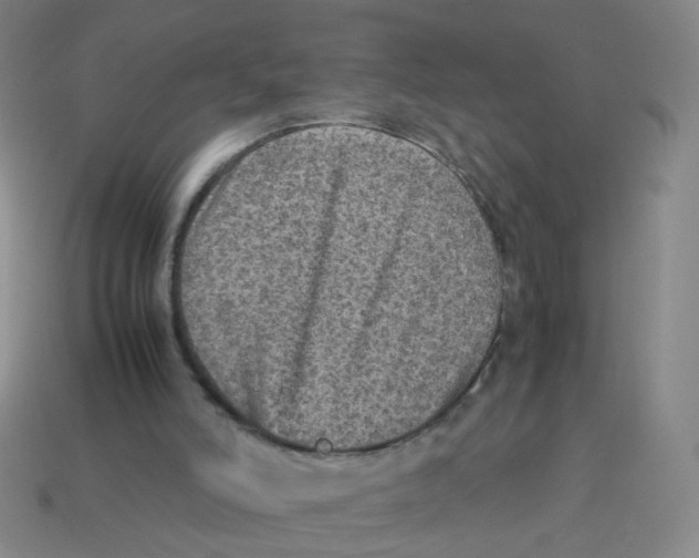 X0000113310006200910131117